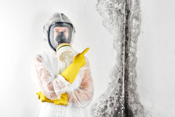 Best Biohazard Mold Removal  in Baileys Crossroads, VA